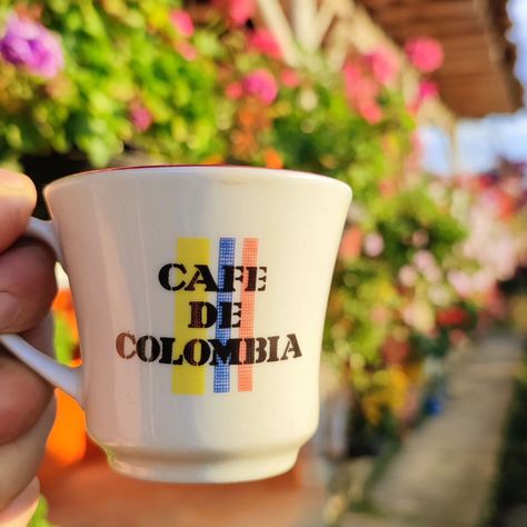 Today, we are proud. Proud of Colombia, proud of our Selección, proud of our culture, and, of course, proud of our coffee. 💛💙❤️ ☕️ Our specialty, single origin coffee is ethically grown, harvested, processed, and roasted IN COLOMBIA! Discover the magic of 100% authentic Colombian coffee. Shop on our website and use code JAMES10 for 10% off your order until 7/21 🌟🥳☕️🇨🇴 #amocolombia #cafedecolombia #orgullocolombiano #orgullocafetero #vamoscafeteros #vamoscolombia #Colombia #encantadocoffee... Colombian Coffee Shop, Colombian Coffee, Roast Me, Single Origin Coffee, Single Origin, Speciality Coffee, Media Design, Coffee Break, Of Course