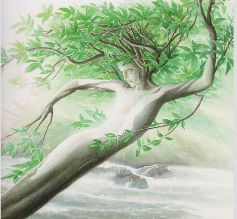 After Cupid made Apollo fall in love with Daphne, she fled and got turned into a Laurel tree by her father after crying to him about Apollo. Apollo still loves her as a tree and still gropes her.   -No artist found. Image was found on Google Images. Ovid Metamorphoses, Laurel Tree, Still Love Her, Summer Art, Art Workshop, Google Images, Love Her, Art