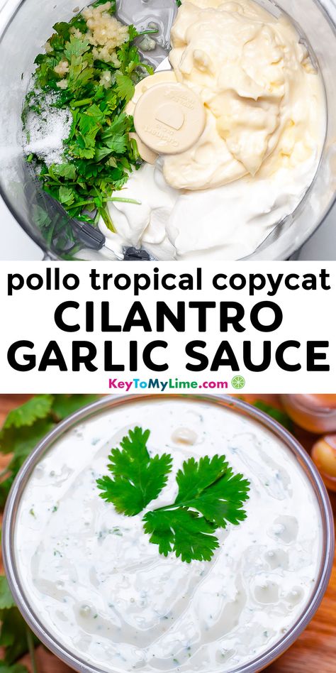 You need to try this 6-ingredient and 5-minute Pollo Tropical copycat cilantro lime sauce! It’s creamy, packed with flavor, so delicious, and is so incredibly easy to make. #Sauce #PolloTropical #Cilantro #Garlic #Copycat #CopycatRecipes KeyToMyLime.com Cilantro Garlic Sauce, Pollo Tropical, Pioneer School, Parmesan Sauce, International Food, Creamy Garlic, Cat Recipes, Cilantro Lime, Homemade Sauce