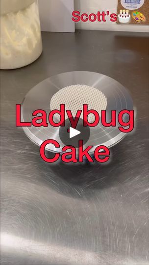 Miraculous Ladybug Cakes, Ladybug And Cat Noir Cake, Ladybug Cakes, Ladybug Cake, The Ladybug, A Ladybug, Challenge Yourself, Love And Support, Cake Decoration