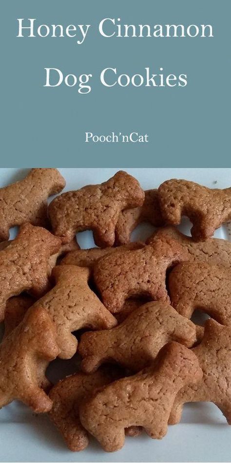 #NutritionHealthTips Vanilla Dog Cookies, 3 Ingredients Dog Treats, Homemade Treats For Puppies, Honey Cinnamon Dog Treats, Puppy Biscuits Homemade, Gourmet Dog Treat Recipes Homemade, Long Lasting Dog Treat Recipes, Dog Treats Homemade Recipes Easy, Homemade Dog Treats Easy With Silicone Mold