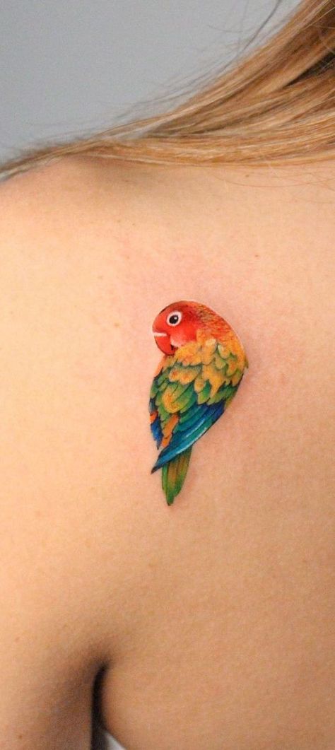 Tattoo Inspiration For Girls Eclectus Parrot Tattoo, Cute Parrot Tattoo, Tiny Parrot Tattoo, Parrot Tattoos For Women, Fineline Color Tattoo, Rainbow Lorikeet Tattoo, Red Hummingbird Tattoo, Small Parrot Tattoo, Budgie Tattoo Simple