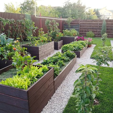 There are endless raised garden bed ideas and plans that you can get inspiration or learn from. A few cool designs and some tips are shared within this article. 5 Easy DIY Raised Garden Bed Ideas and Plans -- #raisedgardenbeds #gardening #garden #raisedbeds #raisedbedgarden #raisedgarden #kitchengarden #vegetables #raisedflowerbeds #gardeningtips #gardener #veggiegarden #raisedgardenbedsideas #raisedgardenbedsplans #raisedbedsideas #raisedbedsplans Easy Diy Raised Garden Bed, Backyard Raised Garden, Diy Raised Garden Bed, Raised Garden Bed Ideas, Garden Bed Ideas, Backyard Garden Diy, Backyard Garden Layout, Diy Raised Garden, Veg Garden