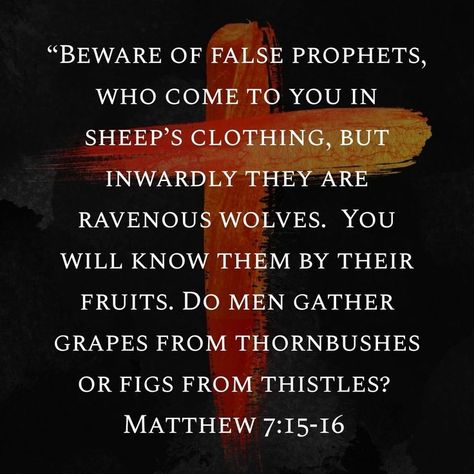 Beware Of False Prophets, Heaven Is Real, Prophet Quotes, Learn The Bible, I Love The Lord, False Prophets, Christian Scripture, Bible Teachings, Bible Knowledge