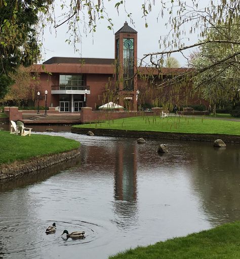 Salem University, Willamette University, Romanticizing Fall, Cool Buildings, Oregon Aesthetic, Oregon College, Stream Design, Salem Oregon, Oregon Washington