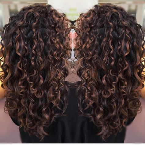 No Bleach 🚫 used to create this look @n_nystrom 😉😘 Balayage Auburn, Ombre Curly Hair, Curly Styles, Dyed Curly Hair, Hair Curl, Highlights Curly Hair, Colored Curly Hair, Natural Curls Hairstyles, Curly Hair Inspiration