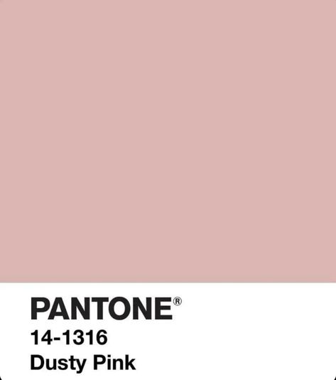 Dusty Pink Quince, Pink Quince, Youve Been, My Colors, Interior Paint Colors, Light Pink Color, Mauve Pink, Rose Color, Interior Paint