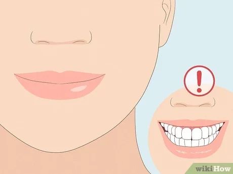 How to Have the Perfect Smile: 12 Tips for a Picture-Perfect Grin How To Improve Your Smile Tips, Round Teeth Shape, How To Make Your Smile Prettier, How To Smile In Photos, How To Have A Beautiful Smile, How To Smile For A Picture, Smile For Pictures Tips, How To Smile For Picture Day, How To Have The Perfect Smile