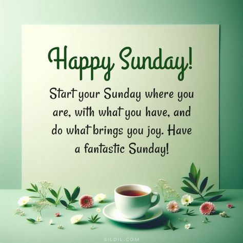 Sunday Greetings Have A Great Day, Happy Blessed Sunday Quotes, Sunday Morning Greetings, Happy Sunday Quotes Inspirational, Happy Sunday Quotes Positivity, Happy Sunday Images Beautiful, Happy Sunday Wishes, Good Morning Sunday Wishes, Sunday Good Morning Wishes