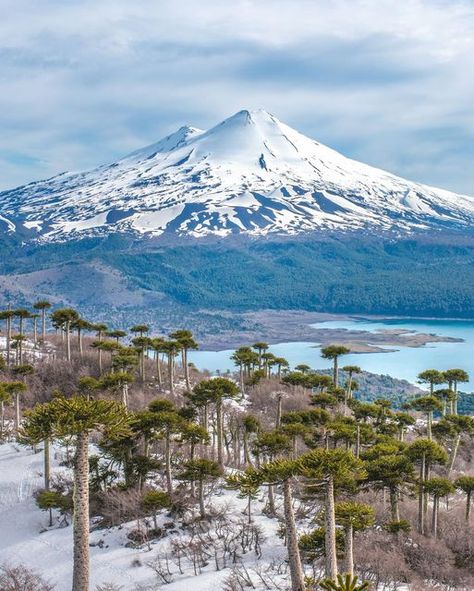 Fernando Gudenschwager Martini | Chile on Instagram: "Conguillio Primaveral 🌞 Te gustó alguna foto? #conguillio #conguillionationalpark #chile #chilegram #chile #parquesnacionales #landscape #landscapes #photo #photography #photooftheday" Chile Country, Chile Nature, December 7, Photo Photography, Land Scape, Martini, Beautiful Places, Planets, Photographer