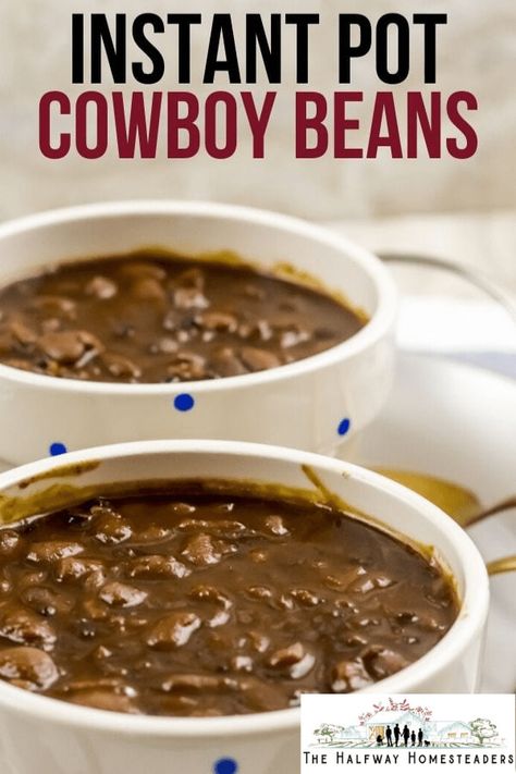 Tie up the horses and sit a spell while I rustle up some grub! This tasty bean recipe will have you saying "Giddy Up, Cowboy!" Just as sure as the rain, you're about to fall in love with these Instant Pot Cowboy Beans. They're a little bit of sweet, a little bit of salt and 100% delicious. #InstantPot #PressureCooker #Beans #CowboyBeans #Vegan #WholeFood #Plantbased #CowboyFood #BBQ #SouthernRecipes #Barbecue Instapot Cowboy Beans, Wholefood Plantbased, Picnic Side Dishes, Cowboy Beans, Bean Recipe, Electric Pressure Cooker Recipes, Instant Pot Soup Recipes, Best Instant Pot Recipe, Instant Pot Soup