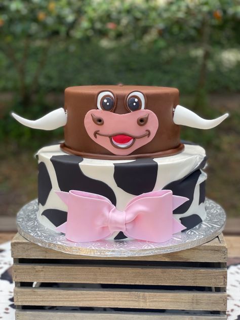 Bulls And Heifers Gender Reveal, Cow Themed Gender Reveal Cake, Gender Reveal Ideas For Party Cow Theme, Heifer Or Bull Gender Reveal Ideas, Bull Cake, Gender Reveal Cow Theme, Cow Print Gender Reveal Ideas, Cow Gender Reveal, Bull Or Heifer Gender Reveal