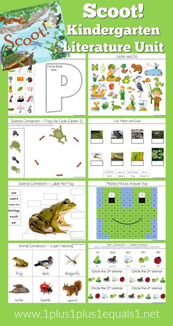 Pond+Life+Kindergarten+Literature+Unit+Printables Pond Life Theme, Literature Unit Studies, Homeschooling Kindergarten, Literature Activities, Frog Life, Frog Theme, Homeschool Board, Pond Life, Folder Games