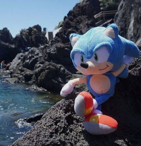 Sonic Plushies, Sonic O, Sonic Funny, Sonic Franchise, Sonic X, Sonic 3, Sonic And Shadow, Sonic And Friends, Sonic Art