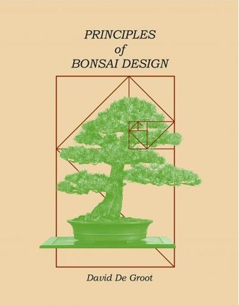 Principles of Bonsai Tree Design by David De Groot Bonsai Design, Ficus Bonsai, Bonsai Pruning, Bonsai Tree Types, Bonsai Tree Care, Bonsai Techniques, Aquaponics Diy, Indoor Bonsai Tree, Bonsai Soil