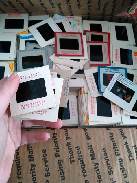 I Found 2,000+ Kodachrome Slides for $10 at My Local Goodwill Kodachrome Slides, Vinyl Vintage, Vintage Sweaters, Childhood Memories, Cameras, Slides, Art Inspiration, Vinyl, Books