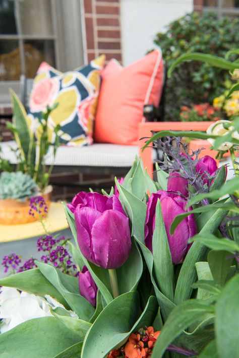 How to Update Your Porch for Spring | Front Porch | Front Porch Refresh | Patio Ideas | Outdoor Entertaining | Patio Refresh | Southern Porch | Colorful Porch Ideas | Porch Ideas for Spring | Porch Decorating Ideas | Paprika Southern Front Porch Ideas Colorful, Purple Porch Decor, Front Porch Decor Maximalist, Front Porch Decor Spring/summer, Welcome Sign Flowers Front Porches, Spring Porch Decorating Ideas, Spring Porch Decorating, Entertaining Patio, Colorful Porch