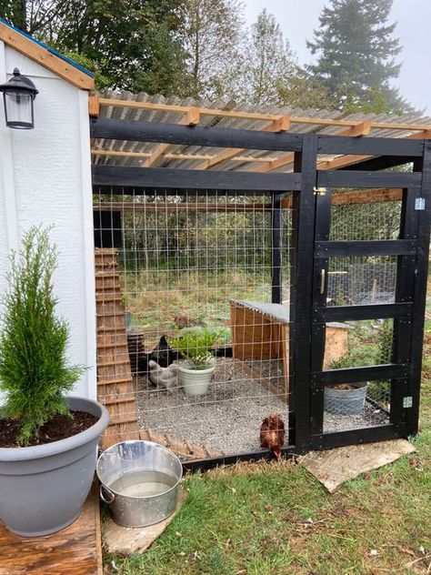 15+ Chicken Coop Ideas You Can Build Decorating Chicken Coop Ideas, Cute Chicken Run Ideas, Chicken Coop Lean To Design, Fenced In Chicken Coop, Chicken Coop Enclosure, Rooster Coop Ideas, Chicken Coop Modern, White And Black Chicken Coop, Chicken Run Decorating Ideas