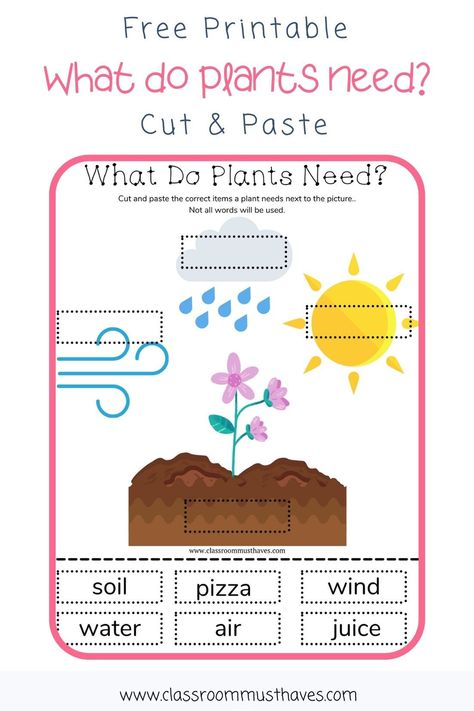 What Do Plants Need Worksheet for Preschool & Kindergarten! Plants Need Worksheet, Plant Worksheet, Kids Gardening Kit, Plant Lessons, Plants Worksheets, Planting For Kids, Plant Activities, Pattern Worksheet, Graphing Activities