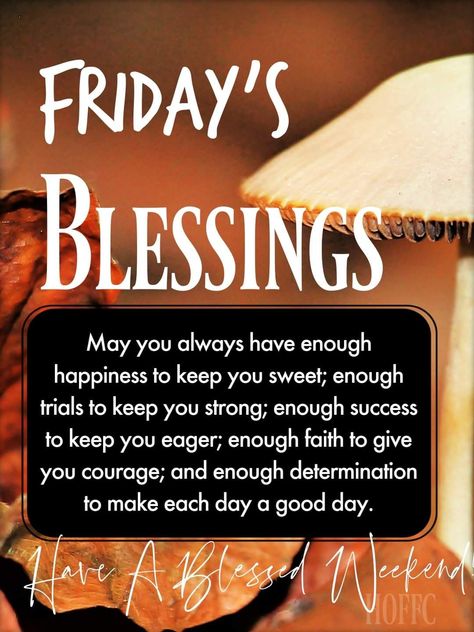 Grand Rising, Encouraging Thoughts, Friday Blessings, Proverbs 16, Biblical Verses, Biblical Quotes, Morning Greetings, Morning Prayers, Beautiful Flowers Pictures