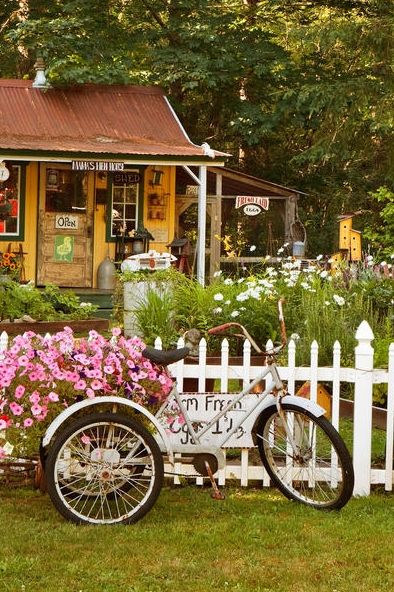 * Windows With Flowers, Spring Windows, Vintage Bicycle, Picket Fence, Vintage Bicycles, Wooden Bar, Stock Paper, Fine Arts Posters, Decoration Design