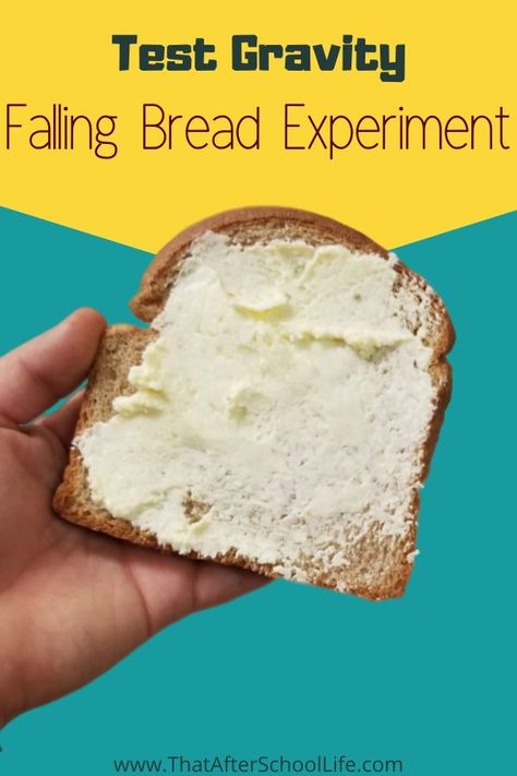 Test Gravity - Falling Bread - That After School Life Gravity Activities, Bread Experiment, Gravity Experiments, Middle School Science Activities, Earth Activities, Data Collection Sheets, Animal Experiments, Middle School Science Experiments, Bored Kids