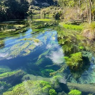 Travel Heaven (@trave_lto_heaven) • Instagram photos and videos New Zealand Nature Aesthetic, New Zealand Aesthetic Wallpaper, New Zealand Travel Aesthetic, Nz Aesthetic, Aesthetic New Zealand, New Zealand Spring, Nova Aesthetic, New Zealand Aesthetic, Nz Photography