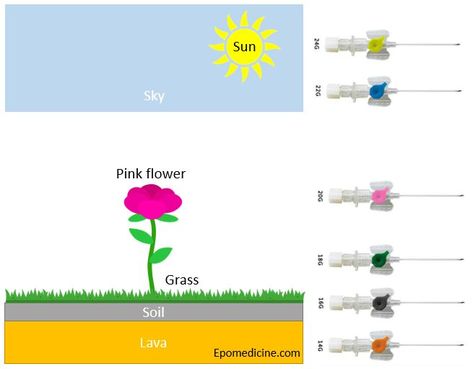 IV Cannula Color Code : Tricks to Remember - https://epomedicine.com/emergency-medicine/iv-cannula-color-trick-remember/ Iv Cannula, Basic Anatomy, Medical Notes, Medicine Studies, Basic Anatomy And Physiology, Certificate Design Template, Nursing School Tips, Iv Therapy, Student Nurse