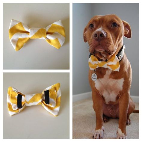 Pet Crafts, Boys Will Be Boys, Collar Accessory, Diy Dog Collar, Dog Clothes Diy, Grooming Shop, Dog Business, Dog Tie, Dog Collar Bow Tie