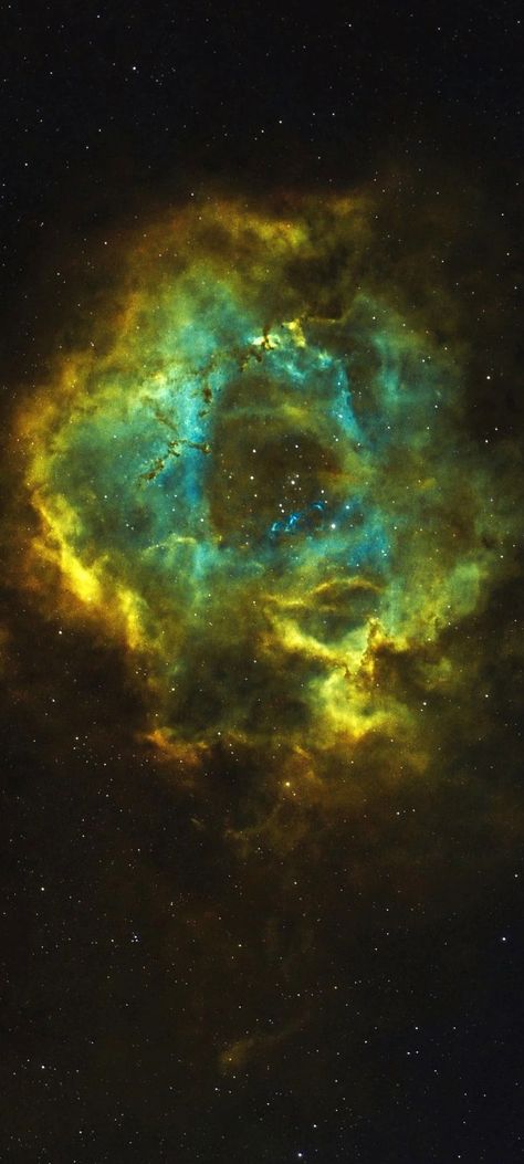 NGC-2237/44 The Rosette Nebula Caldwell-49 in SHO Palette cropped mobile wallpaper 1080x2400 Galaxy Pics, Rosette Nebula, Astronomy Art, Galaxy Pictures, Carl Sagan, Science Fiction Art, Space And Astronomy, Magical Places, Out Of This World