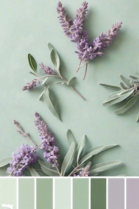 Top 5 Palettes SW colors with Sage Green and Lilac for your room - Lorena Cozy Home - CREATING COZY SPACES FOR YOU. Sage Green Purple Color Palette, Sage Green And Lavender Bedroom Aesthetic, Sage Green Accent Colors, Sage Green And Lavender Bedroom, Colors With Sage Green, Sage Green And Lilac, Sage Green Colour Palette, Lilac Palette, Sage Green Color Palette