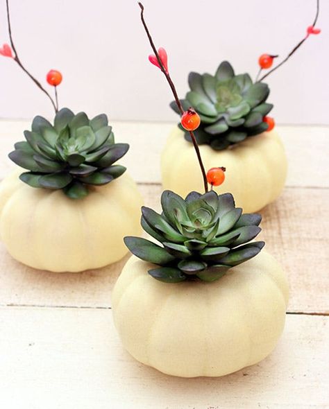 12 Ways to Use Flowers in Your Halloween Decor via Brit   Co Pumpkin Succulent Centerpiece, Mini Pumpkins Decor, Diy Succulents Centerpiece, Thanksgiving Crafts To Make, Halloween Flower Arrangements, Modern Thanksgiving Table, Thanksgiving Decorations Diy Table, Succulent Centerpiece, Succulent Pumpkin