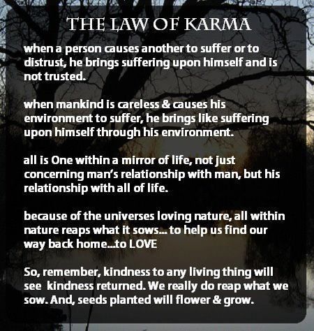 Thursday Treadmill Treats Karma comes in all forms I remember for the last few years I always thought where was Karma? How come people who did you wrong just seemed to get away with it, with no... Lies Quotes, Law Of Karma, Laws Of Life, Karma Quotes, Home Quotes And Sayings, Photo Quotes, Wisdom Quotes, Picture Quotes, Positive Thinking