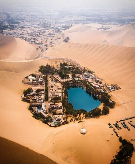 Increíble vista de la Huacachina Oasis en Ica 🏜 Peru Desert, سلالم حلزونية, Huacachina Peru, Desert City, Best Travel Insurance, Peru Travel, South America Travel, Beautiful Places In The World, Machu Picchu