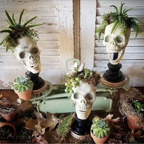 11 Budget Friendly Halloween Decorations to Impress Your Neighbors | Hometalk Beautiful Succulents, Diy Skulls, Cheap Halloween Decorations, Skull Planter, Ghost Plant, Mood Happy, Diy Halloween Decor, Skeleton Decorations, Cheap Halloween