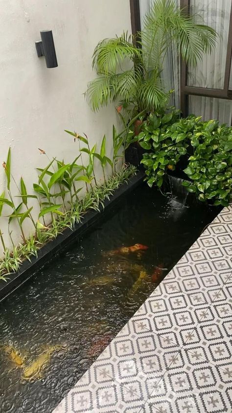 Balcony Fish Pond Ideas, Small Atrium Ideas, Garden Fish Pond Ideas, Small Fish Pond Ideas, Jardin Zen Interior, Small Fish Pond, Fish Ponds Backyard, Small Backyard Garden Design, Fish Pool