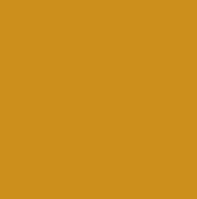 Pantone Golden Yellow Terracotta Pantone, Deep Autumn Palette, Iphone Wallpaper Bright, Yellow Pantone, Golden Yellow Color, Image Background, Color Image, Vehicle Paint, Solid Color Backgrounds