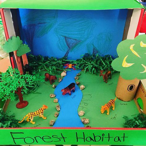 Forest Habitat Project, Forest Model School Project, Osc Activities, Rainforest Crafts, Habitat Project, Forest Crafts, Habitats Projects, Toddlers Activities, Reception Class