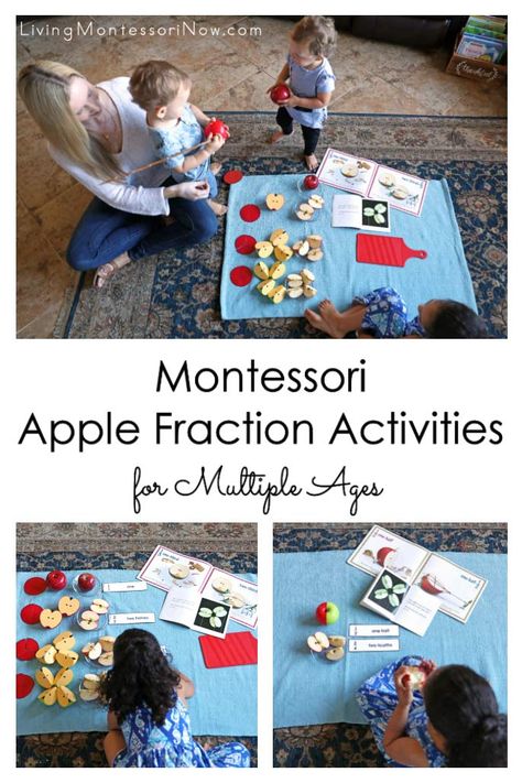 Montessori Apple Fraction Activities for Multiple Ages Preschool Fraction Activities, Apple Fractions, Montessori Fractions, Fraction Resources, Montessori Lesson Plans, Introducing Fractions, Division Math Games, Montessori Elementary, Apple Unit