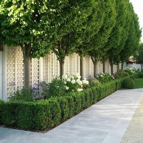 Country Garden Design, Parterre Garden, Boxwood Garden, Front Garden Landscape, Front Garden Design, Front Yard Garden Design, Front Landscaping, White Picket Fence, Classic Garden