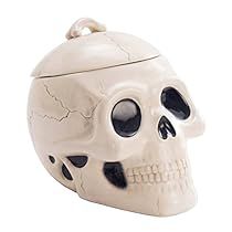 Salem Sabrina The Teenage Witch, Halloween Indoor Decorations, Spider Mask, Halloween Apothecary Jars, Halloween Cookie Jar, Skull Cookie, Halloween Jackolantern, Skull Cookies, Little Vampire