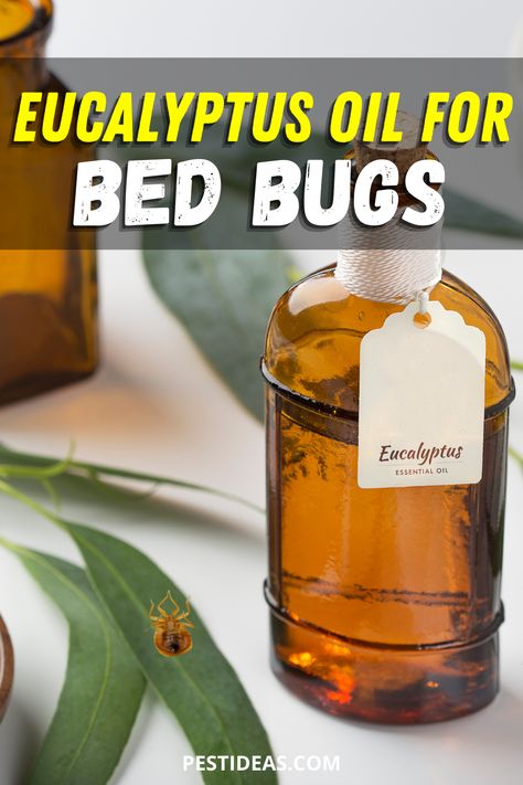 Get Rid of bed bugs naturally with the power of essential oils- Eucalyptus oil for bed bugs- Signs of bed bugs Signs Of Bed Bugs, Kill Bed Bugs, Rid Of Bed Bugs, Bed Bug Bites, Diy Pest Control, Lemon Eucalyptus, Bug Control, Essential Oil Spray, Natural Pest Control