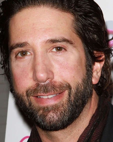 David Swimmer, David Schwimmer, Jewish Men, Ross Geller, Full Beard, Bearded Man, Friends Tv, Bearded Men, Celebrities