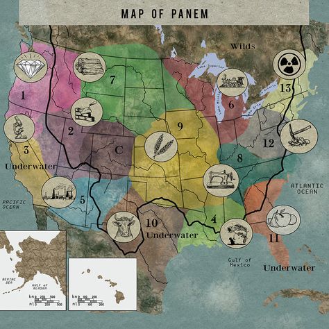 Panem Map Hunger Games, Panem Map, Hunger Games Map, Map Of Middle Earth, Hunger Games Tributes, Middle Earth Map, Film Ideas, Hunger Games Fandom, Id Card Template