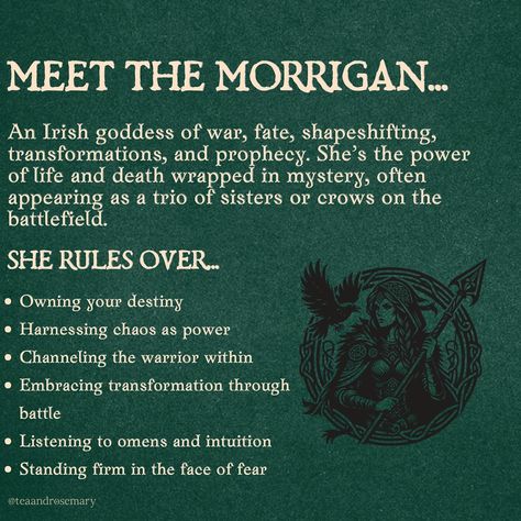 The Morrigan: Warrior. Seer. Queen of Chaos. 🖤 She’s not just an Irish goddess—she’s the battlefield embodied. Her crows don’t just watch; they decide the outcome. Her prophecies aren’t warnings; they’re destiny. Did you know? The Morrigan doesn’t just predict outcomes—she creates them. In the heat of war, she drives warriors into a frenzy, fighting like there’s no tomorrow.🌪️ ✨ Her symbols: Crows, wolves, cauldrons, swords, and even eels. Which one resonates most with you? ✨ Her message: ... Morrigan Deity, Working With Deities, The Morrigan Goddess, Morrigan Goddess, Morrigan Crow, Witch Watch, Irish Goddess, Witchcraft Crystals, Witchy Business