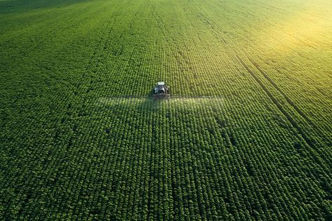 Bruno Basso, Professor of Earth and Environment Sciences at Michigan State University says that digital agriculture can put us on a path to agricultural sustainability. Agricultural Sector, Farm Business, Shiba Inu, Science And Nature, Aerial View, Agriculture, New World, Start Up, Sustainability