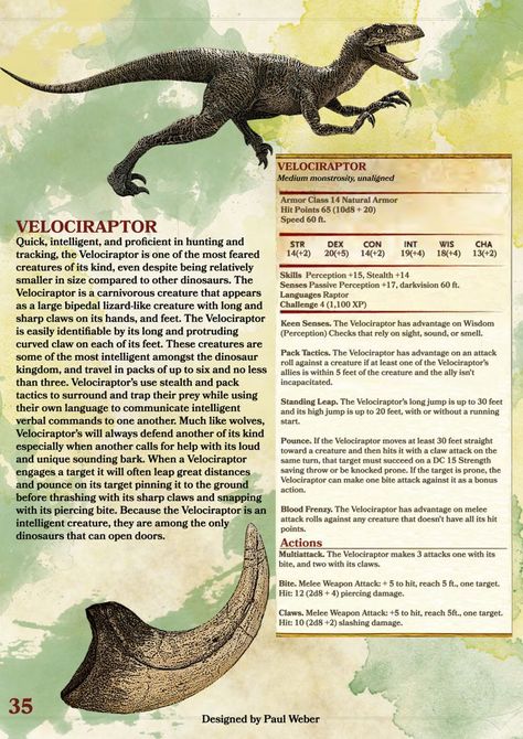 Velociraptor Orange Kitchen Decor, Dnd Stats, Wild Shape, Orange Things, Dnd Races, Dungeons And Dragons 5e, Dnd Dragons, Dnd 5e Homebrew, D D Monsters