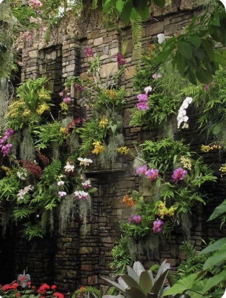 Orchid Wall, Taman Diy, Orchid House, Taman Air, Vertical Garden Planters, Garden Netting, Vertical Garden Wall, Desain Lanskap, Orchids Garden