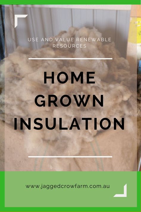 Sheep's Wool Insulation : Value Renewable Resources : Permaculture : Self Sufficiency Sheep Wool Insulation, Wool Insulation, Dream Mansion, Self Sufficiency, Cob House, Eco Friendly Home, Shipping Container Homes, Home Grown, Container Homes