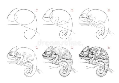 Chameleon Art Drawing, How To Draw A Chameleon, Chameleon Drawing Easy, Drawing Chameleon, Chameleon Sketch, Draw Animals Step By Step, Drawing Structure, Animal Structure, Chameleon Illustration